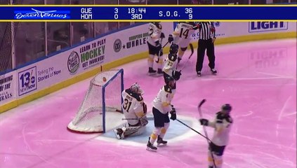 Game Recap - Jacksonville IceMen at Norfolk Admirals