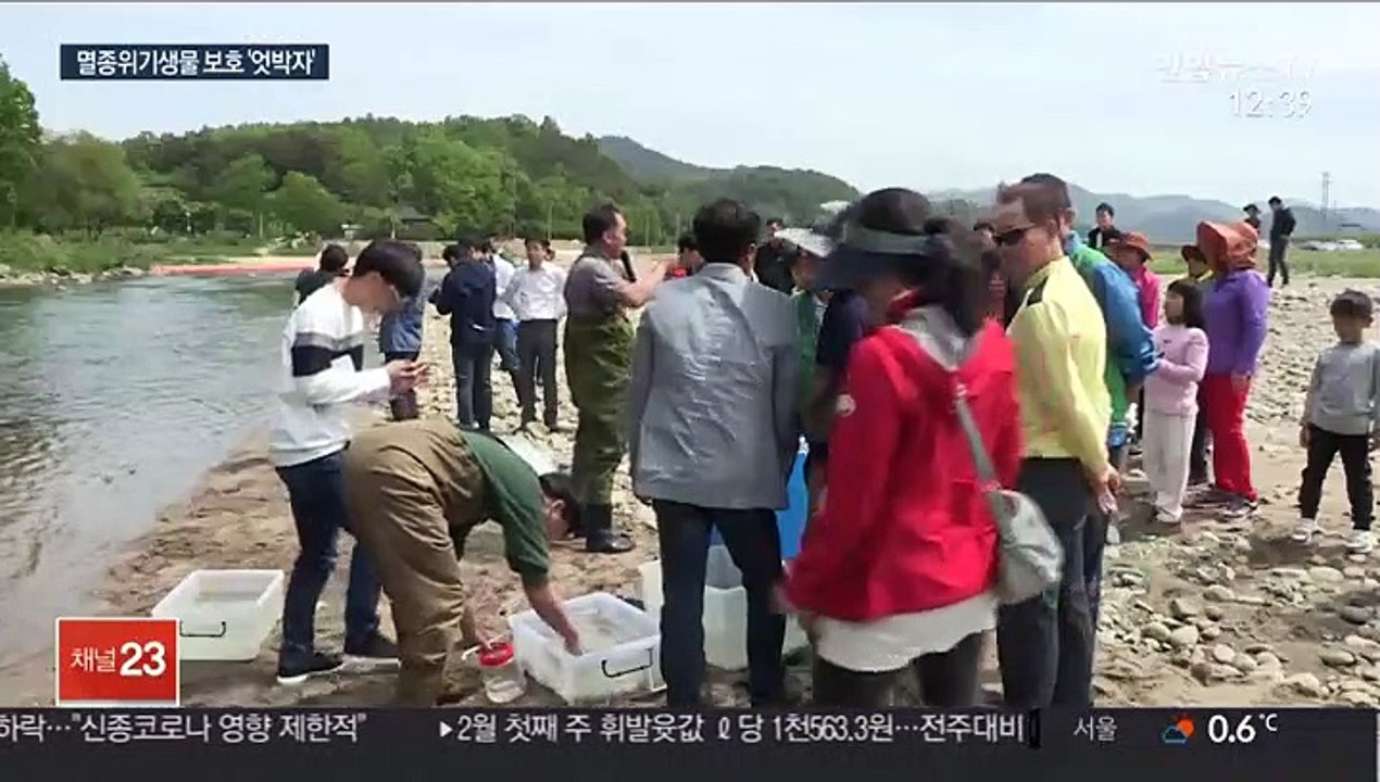멸종위기 민물고기 풀어놓은 강에 땅파기 허가한 지자체