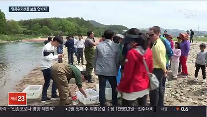멸종위기 민물고기 풀어놓은 강에 땅파기 허가한 지자체
