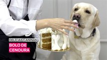 Delícias Caninas: Bolo de Cenoura