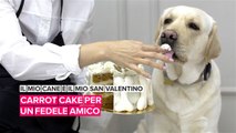 Il mio cane è il mio San Valentino: carrot cake per il tuo fedele amico