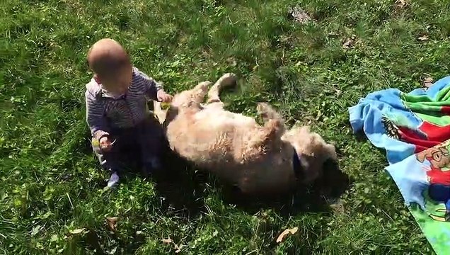 Funniest Babies' Outdoor Moments - Fun and Fails