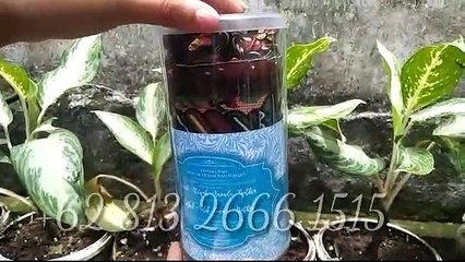 CUCI GUDANG!!! +62 813-2666-1515, Sajadah Travelling Surabaya