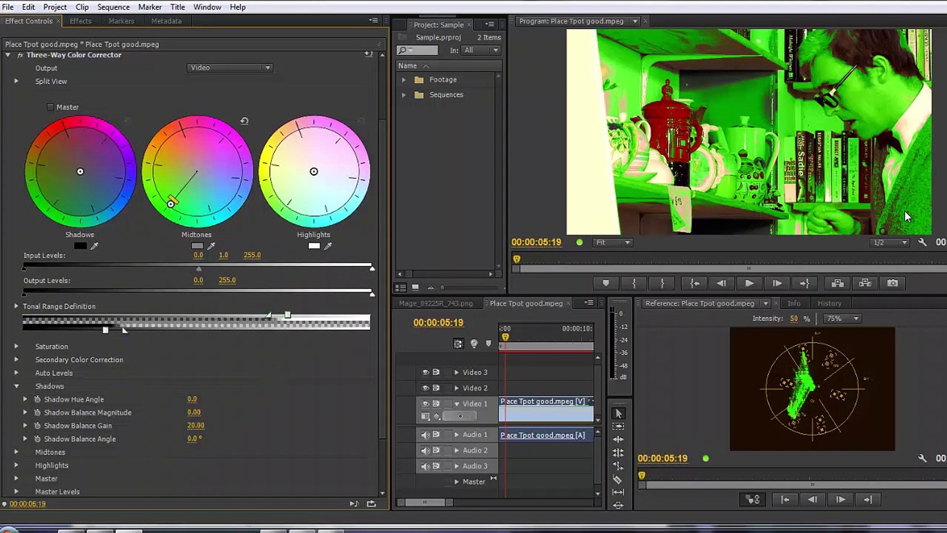 ⁣Premiere Pro CS6 54 Colour 8 The Three Way Colour Corrector
