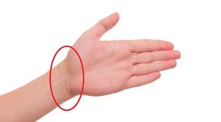 Voici ce que signifient les lignes présentes sur vos poignets