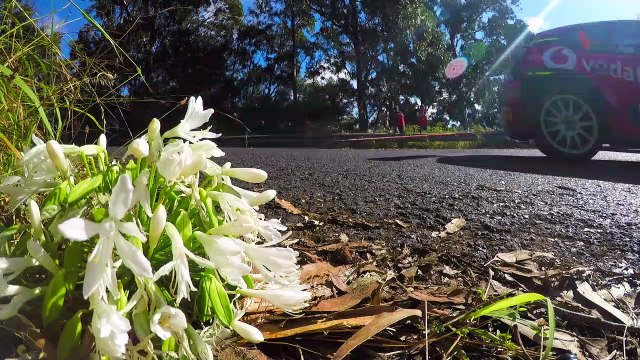 Rali Vinho Madeira 2019