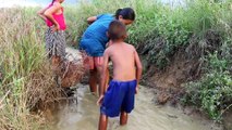 Children How To Catches Fish  in Cambodia Traditional Fishing (part 6)