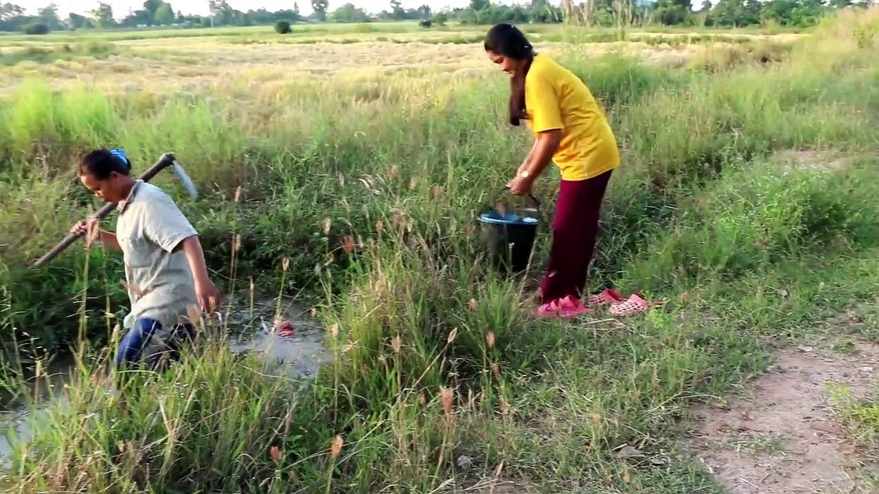 Amazing Fishing  How To Catches Fishes- Cambodia Traditional Fishing (part 7)