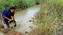 How To Catches Fish in Cambodia Traditional Fishing (part 8)