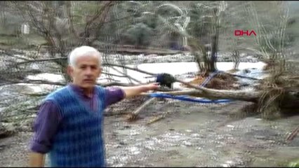 Mersin-5 tonluk konteyner ev sel sularına kapıldı