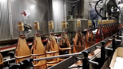 Mise en bouteilles de la cuvée commune des vignerons des Côtes de Toul