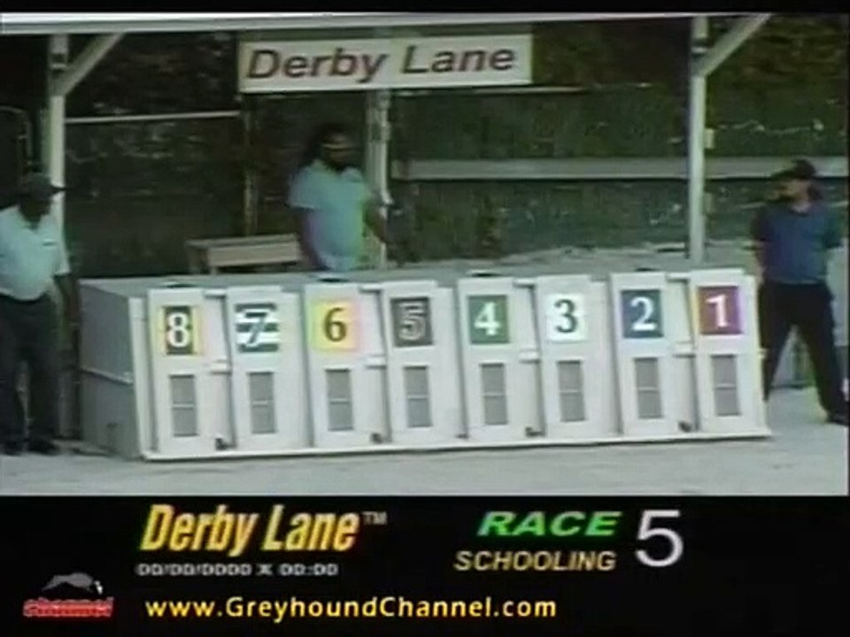 how to read dog racing program - video Dailymotion
