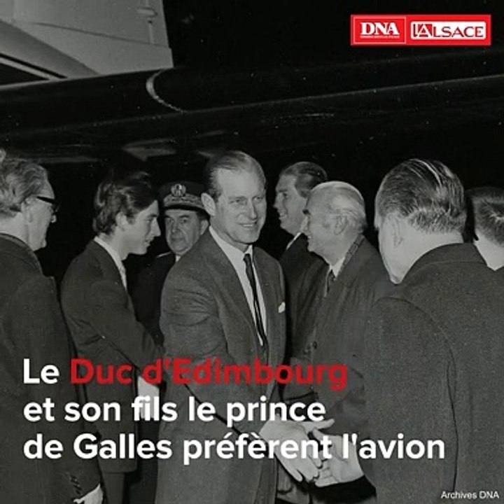 video 5 princes