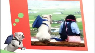 monkey with his dog    cute video