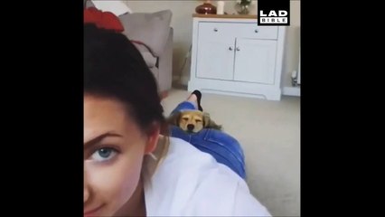 Ce chien est aux anges et on le comprend
