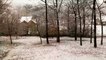 Backyard becomes a gorgeous winter wonderland