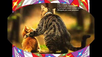 Você não é o meu melhor amigo, mas é alguém que posso contar, obrigado! [Frases e Poemas]