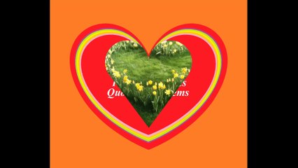 É no jardim do seu amor, quero plantar meu coração! [Frases e Poemas]