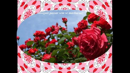 A vida não é um mar de rosas, e nesse mar tem espinhos, não vai se machucar! [Frases e Poemas]