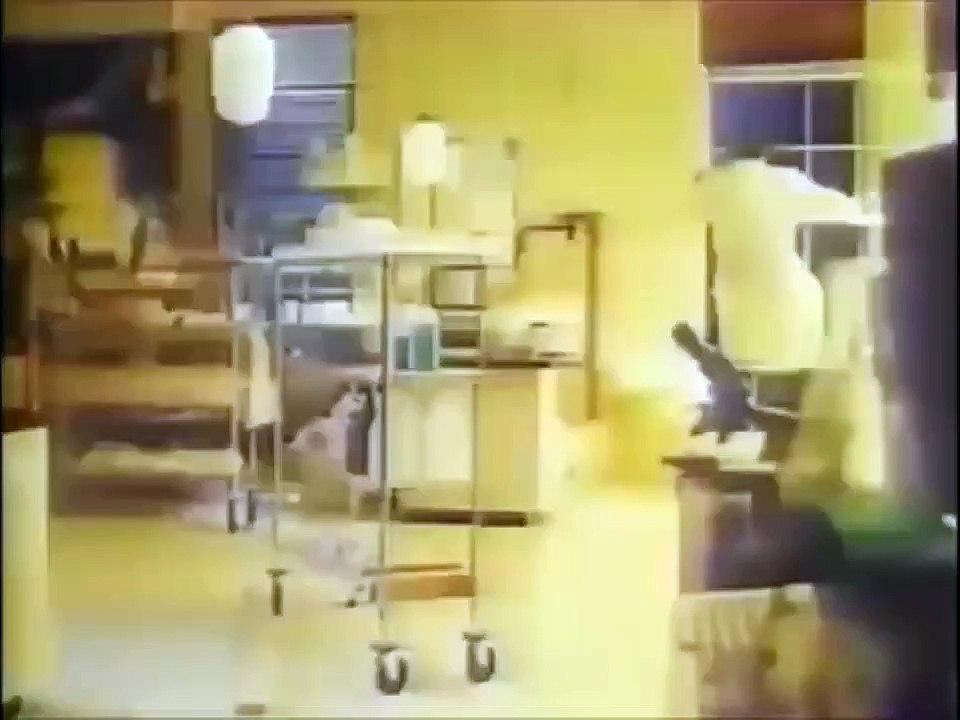 The Flash  1990