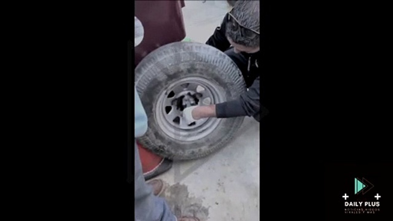 CORTAN UNA RUEDA PARA SALVAR A UN CACHORRO