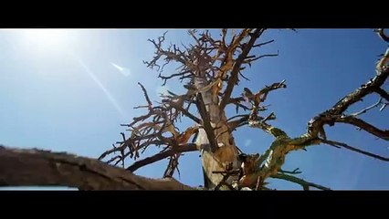 ENTA HABIBI - Rahim Pardesi ft Natalia new