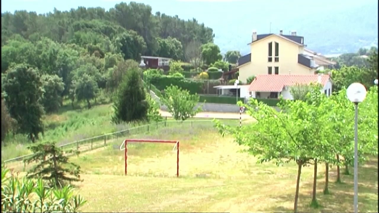 Antena 3 - Cortinilla y Animación mosca 30 aniversario