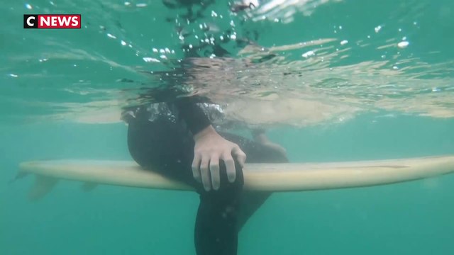 Afrique du Sud : le surf en bois cartonne