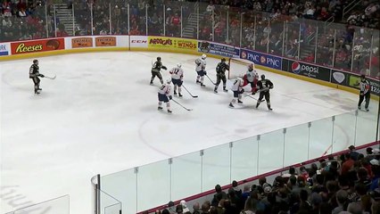 Hershey Bears Vs Springfield Thunderbirds