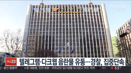 텔레그램·다크웹 음란물 유통…경찰, 집중단속