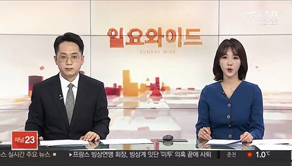 현대기아차 10일 전면 생산중단…中 부품조달 불안