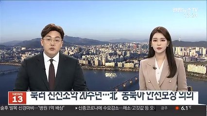 북러 친선조약 20주년…北 "동북아 안전보장 의의"