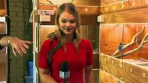 Australian reporter screams as snake strikes mic