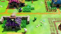 SWAN RAGE SUR ZELDA LINK'S AWAKING sur Nintendo Switch !
