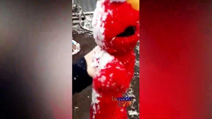 10 Minutos de Videos Graciosos - Recopilación de Videos Graciosos #39