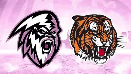 Highlights: Tigers (1) at ICE (4)