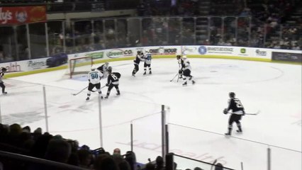 Colorado Eagles win in Overtime