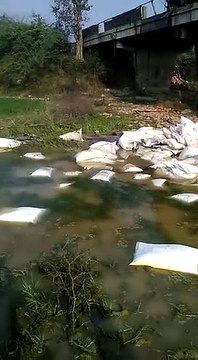 शाहजहांपुर: ट्रक की टक्कर में पुल से नीचे गिरा ट्रैक्टर, चालक की दबकर मौत