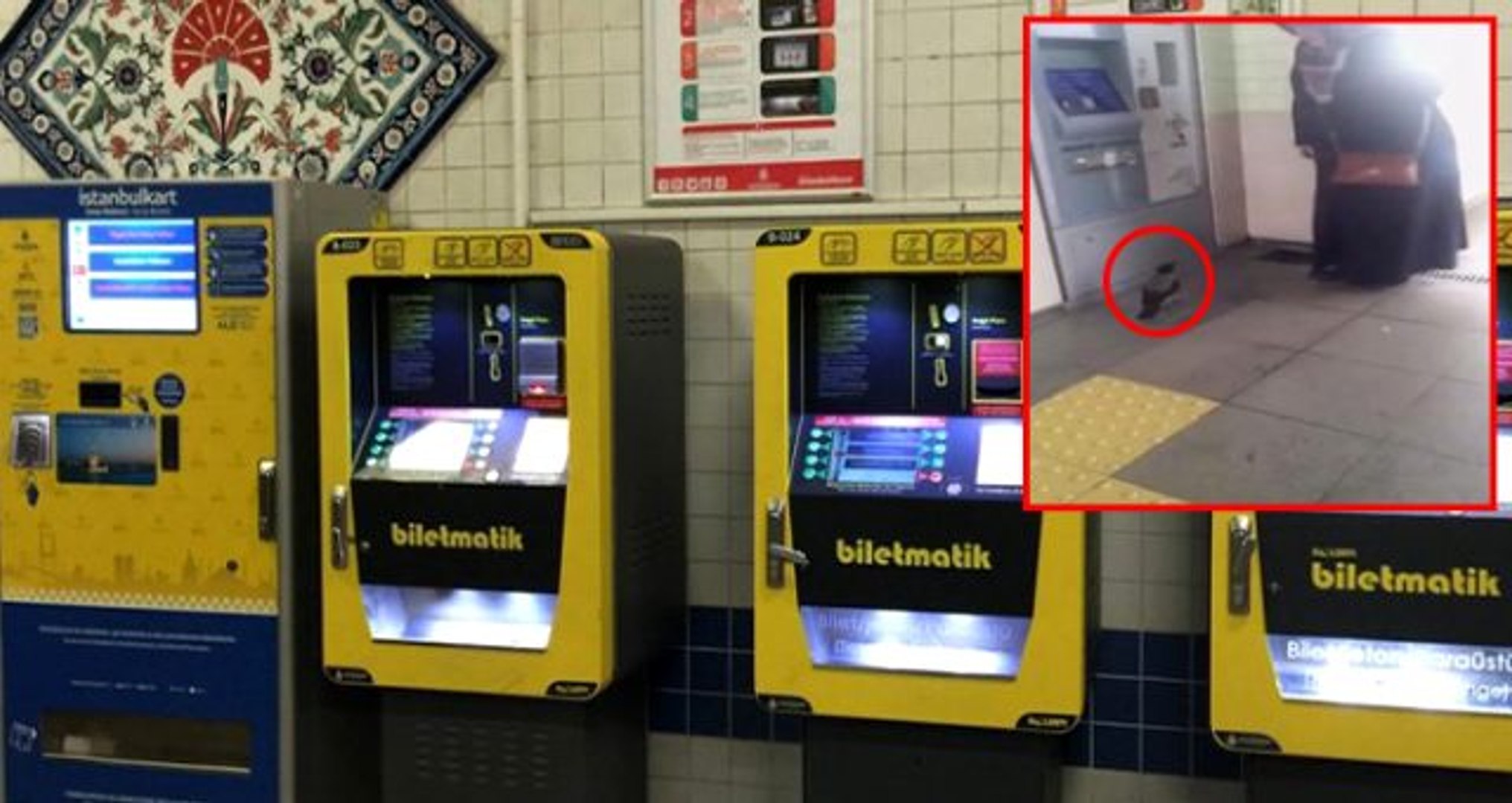 U lifchigini yechib, katta kokraklarini korsatdi.