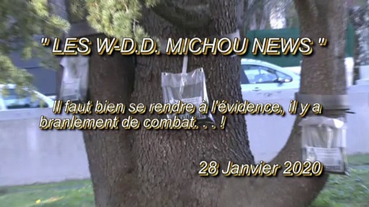 LES W-D.D. MICHOU NEWS - 28 JANVIER 2020 - PAU DÉCLARE LA GUERRE AUX ENVAHISSEUSES LES CHENILLES PROCESSIONNAIRES