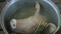 Cambodian food - Roasted BBQ pig head - ក្បាលជ្រូកអាំង - ម្ហូបខ្មែរ