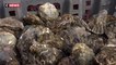 Charente-Maritime : le coronavirus bloque les exportations d'huîtres vers la Chine