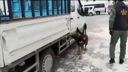 Van'da 54 kilogram eroin ele geçirildi