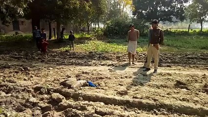 संदिग्ध परिस्थिति में राष्ट्रीय पक्षी मोर की मौत
