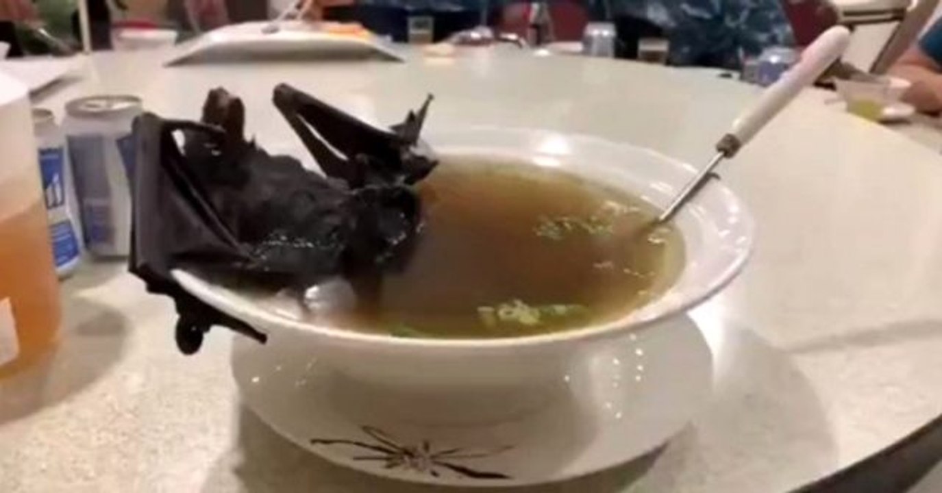 Çin İstanbul Başkonsolosu Wei: Yarasa Çin mutfağında kesinlikle yer almıyor