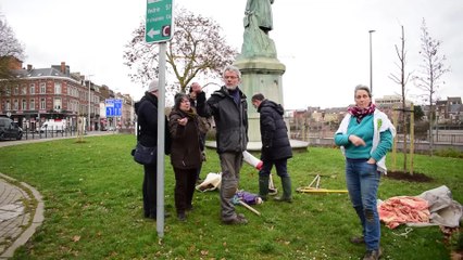 Des militants pour l'environnement plantent des arbres sur un square public à Namur