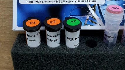 "신종코로나 검사 물량 3배 확대...하루 1만 건 가능" / YTN