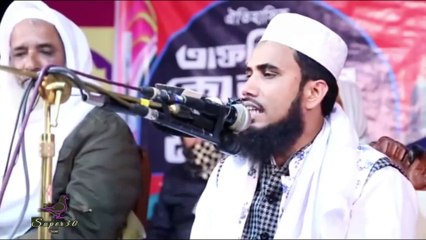 জান্নাতিরা জান্নাতে কি করবেন ( lecturer by mizanur rahaman azhari )