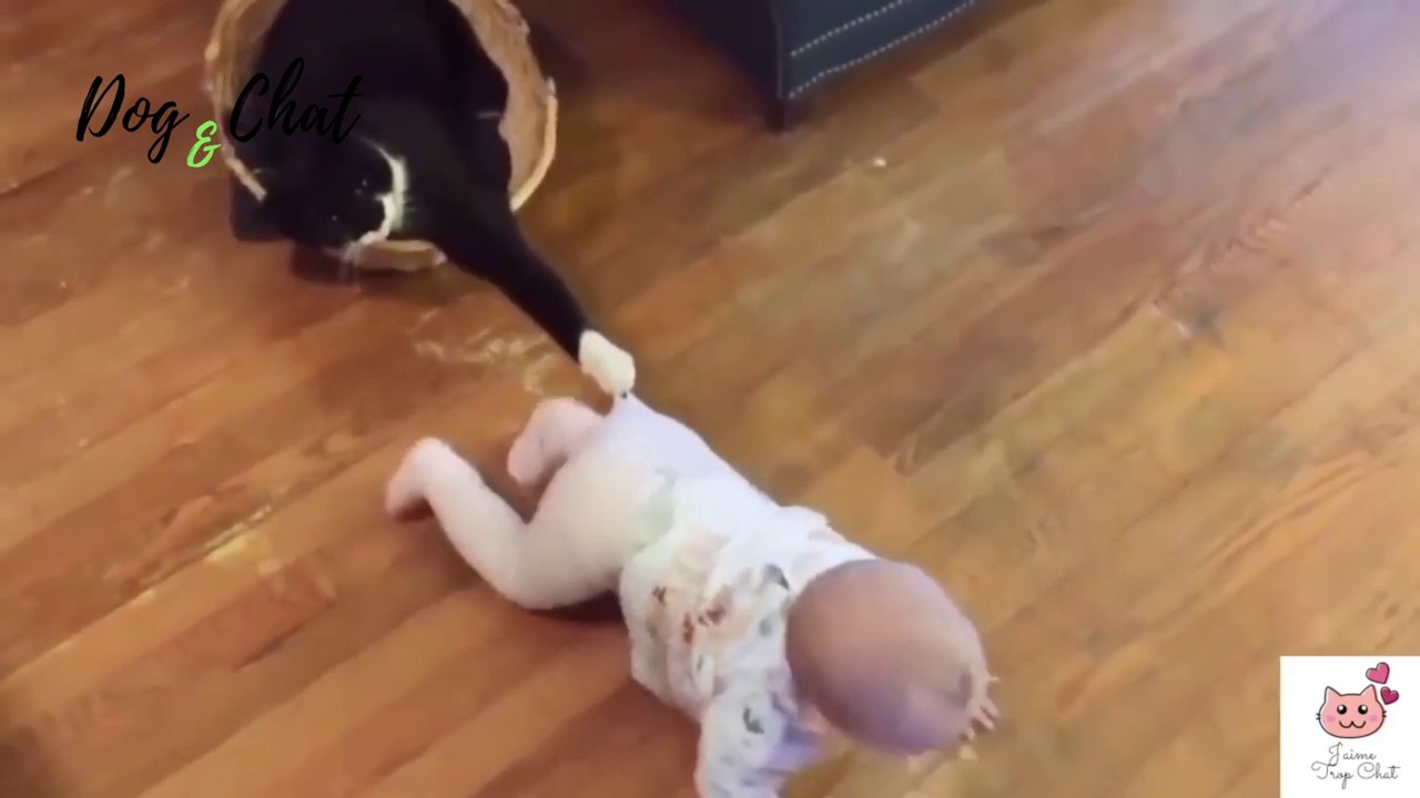 ENFANTS+ANIMAUX #7-MIGNON-DOG&CHAT