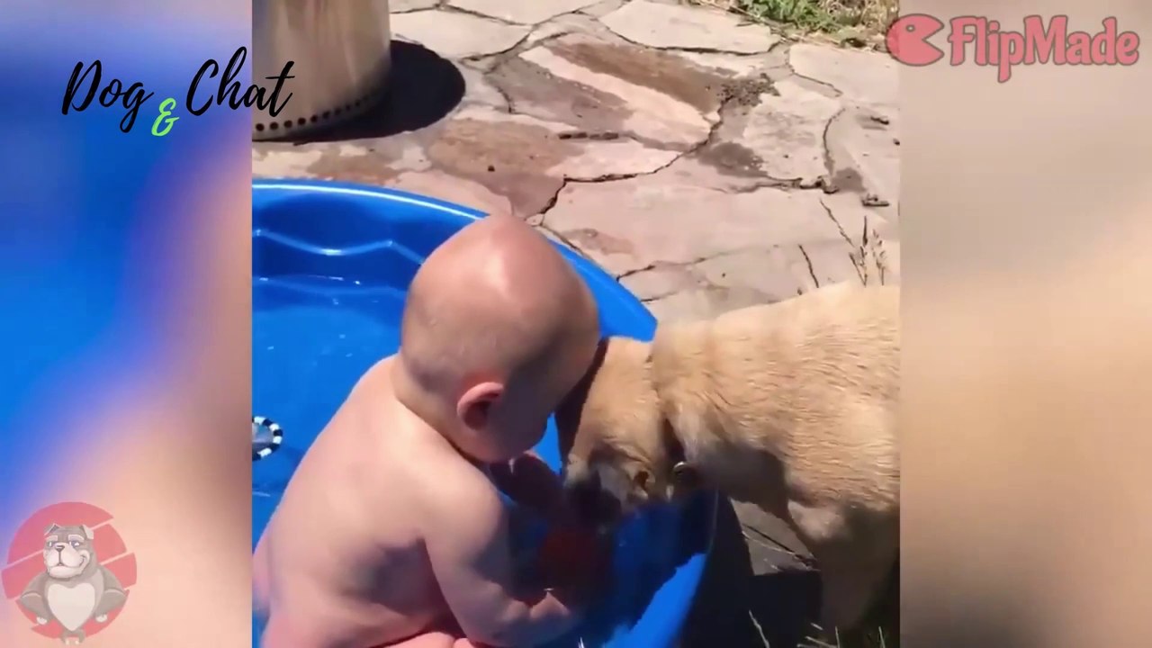ENFANTS+ANIMAUX #6-MIGNON-DOG&CHAT